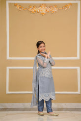 Sophistictes Organza