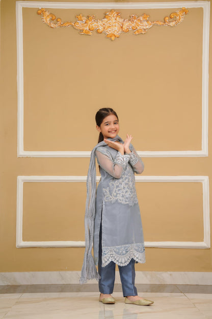Sophistictes Organza